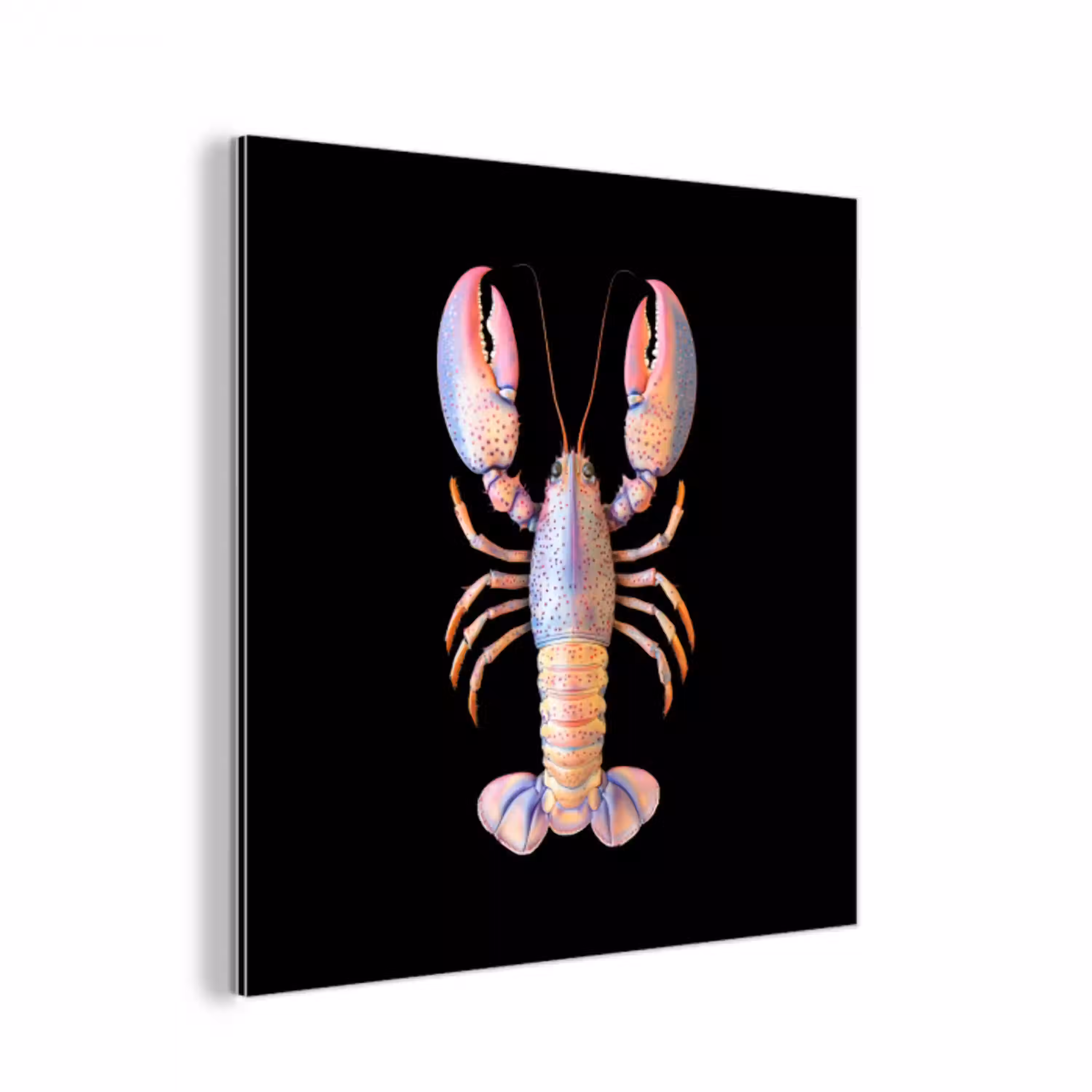 Kreeft - Roze - Zacht - Zwart aluminium wit klein -3d