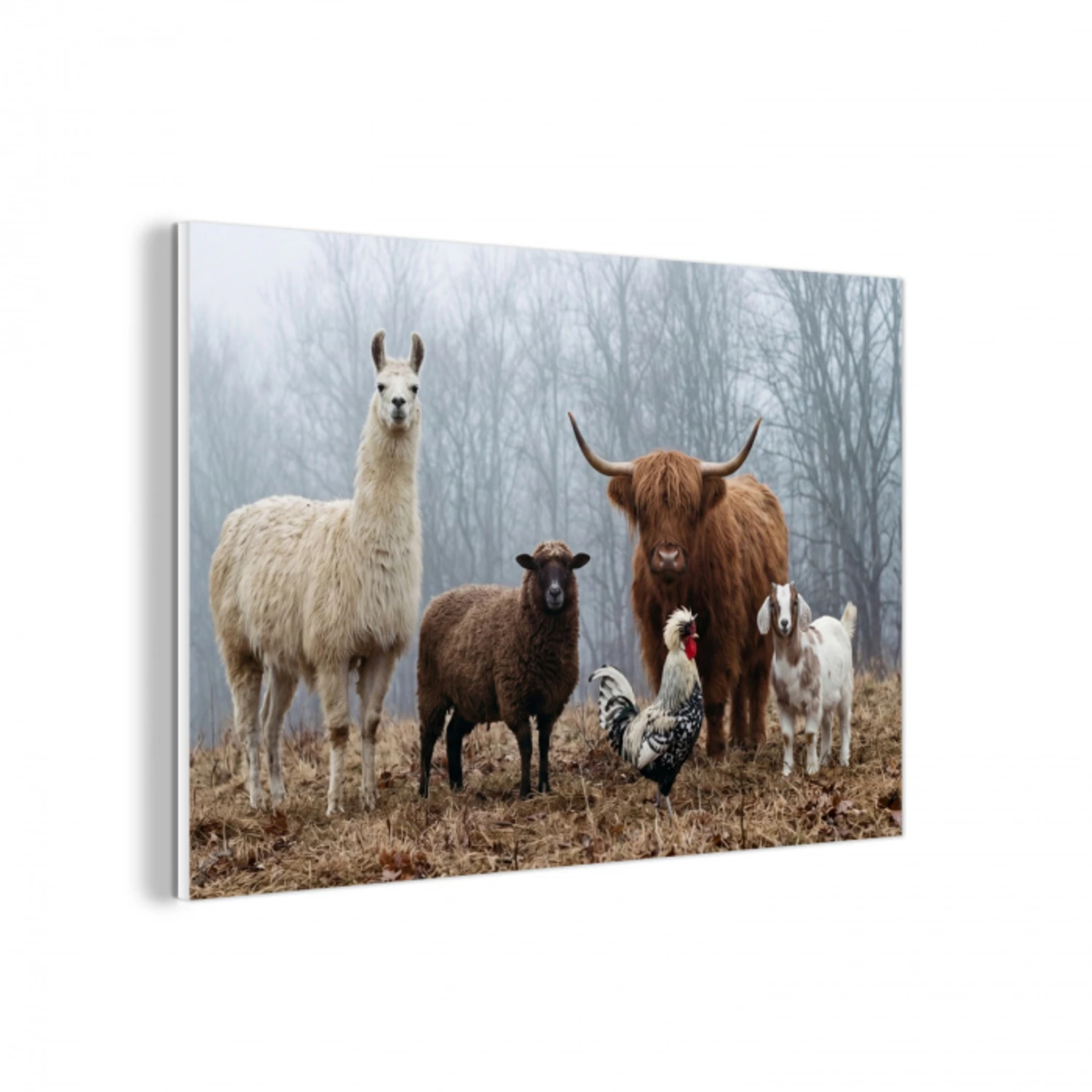 Boerderijdieren - Groep - Mist - Natuur - Rustiek forex 5mm xxl -3d