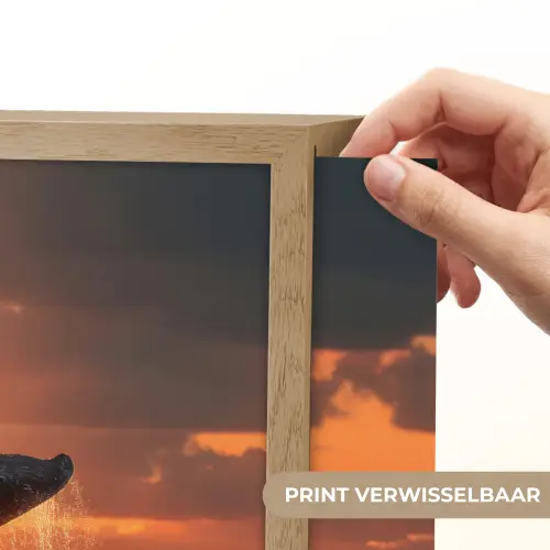 Walvis staart - Water - Zonsondergang Light Box met batterij (Wandlamp) middel -USP_websiteprintNL