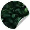 Bladeren - Ovaal - Groen - Nerven Wandcirkel behangsticker klein -3d