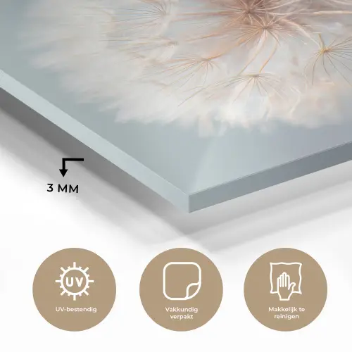 Paardenbloemen - Pluisjes - Wit plexiglas 5mm klein -sfeer2