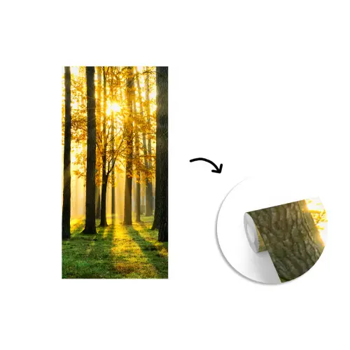 Bos - Zon - Bomen - gras - Landschap fotobehang vinyl groot -3d