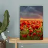Zonsondergang - Klaprozen - Rood - Bloemen - Veld - Natuur canvas 2cm klein -sfeer4