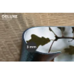 Eikel - Eikenblad - Bos - Herfst - Natuur Placemat vinyl groot -closeup