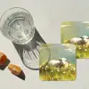 Schaap - Weide - Groen onderzetter kurk middel -sfeer4