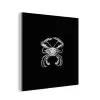 Ernst Haeckel - Tuinposter zwart wit - Tuin - Oude meesters - Vintage aluminium wit klein -3d