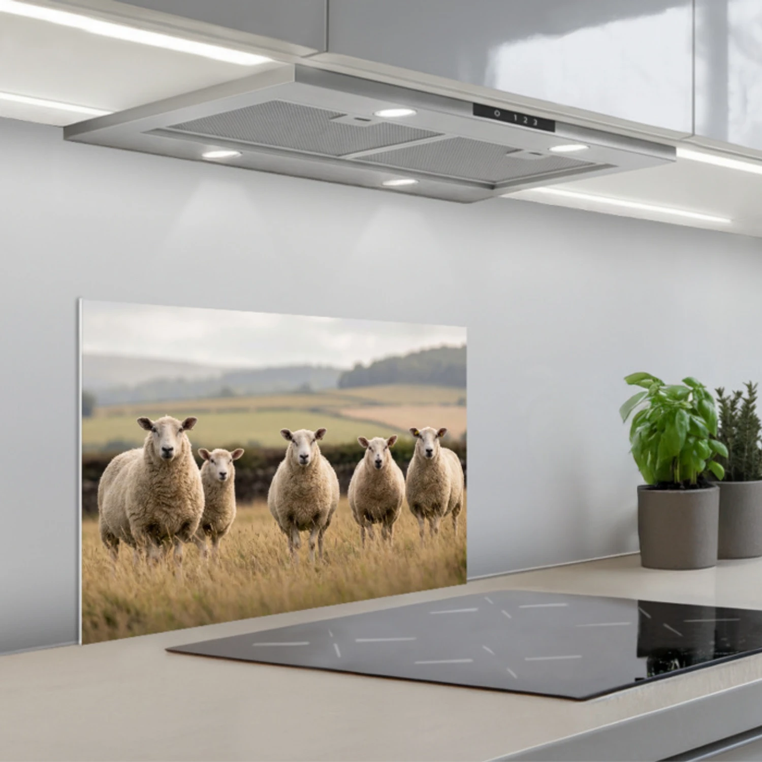 Kitchen splashback for hob - Sheep - Pasture landscape - Hills ...