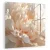 Close up - Pioenroos - Lichtroze plexiglas 5mm klein -zzzproduct_nieuw