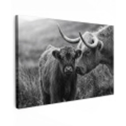 Schotse hooglander - Kalf - Zwart - Wit Tuinposter op houten frame 2 cm dik klein -3d