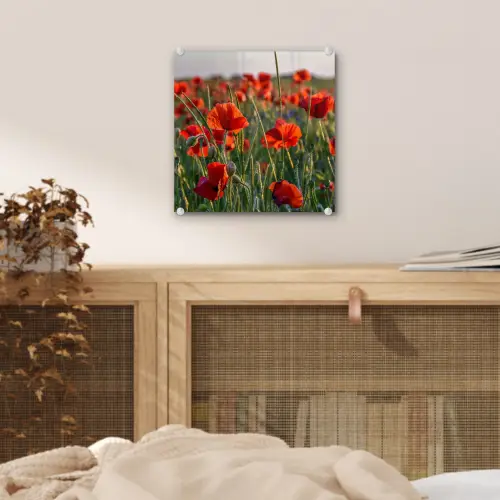 Bloemen - Klaprozen - Natuur - Rood plexiglas 5mm klein -sfeer4