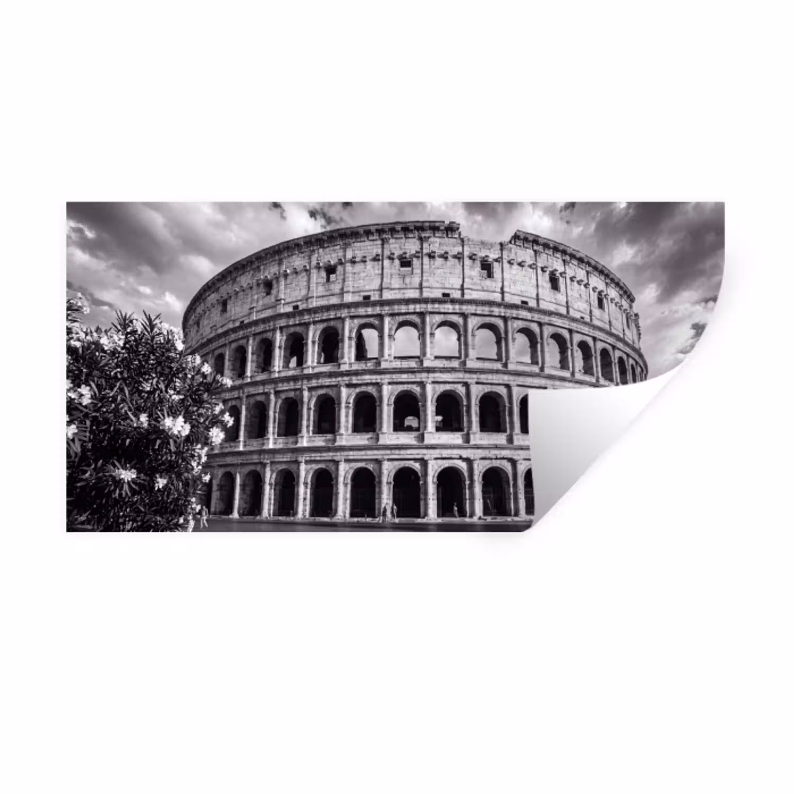 Architectuur - Colosseum - Rome - Historisch - Zwart-wit Muursticker klein -3d