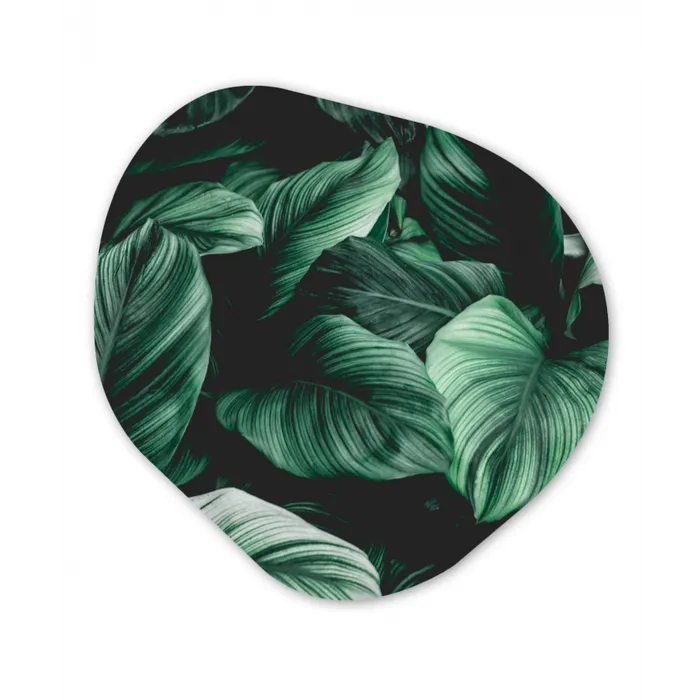 Jungle - Bladeren - Tropisch - Planten - Natuur Wandcirkel Organisch Forex 3mm klein -3d