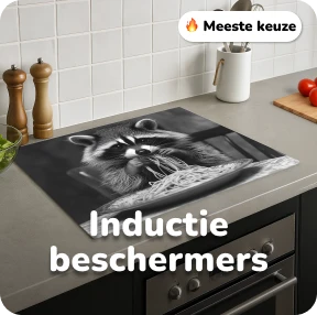 inductiebeschermers wasbeer voorbeeld