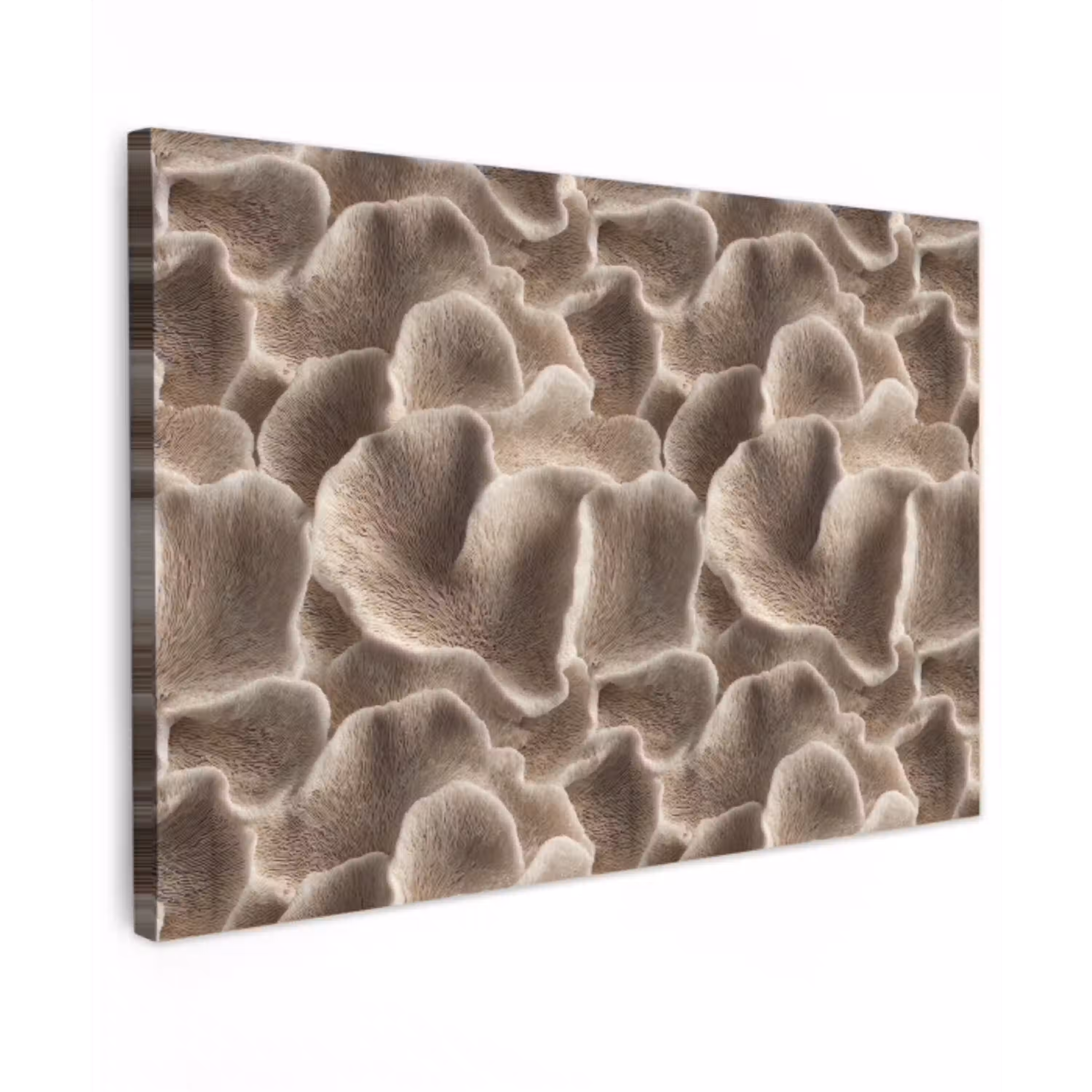 Waaiervorm - Beige - Vezel textuur Tuinposter op houten frame 2 cm dik klein 845 -3d