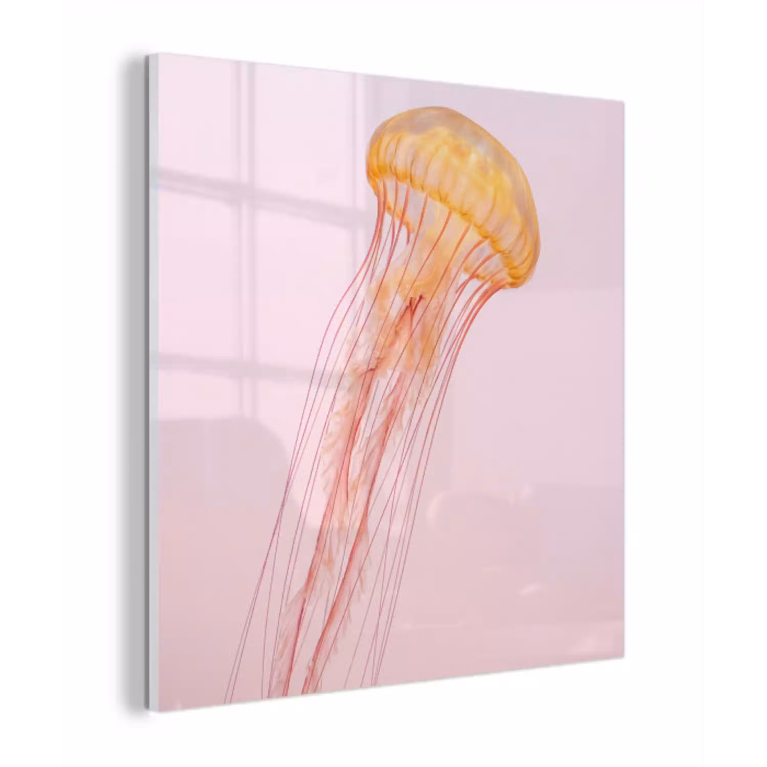 Sierlijk - Kwal - Roze plexiglas 5mm klein -z3d