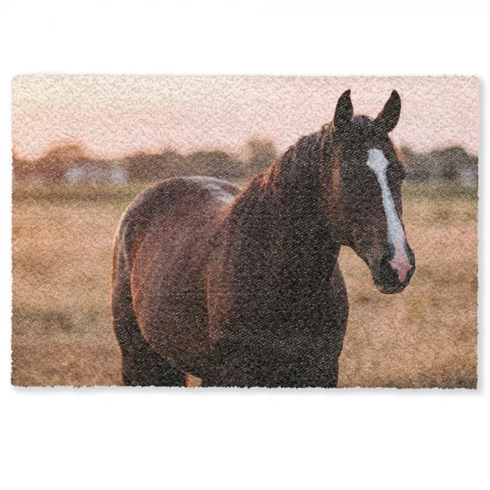 Paard - Zonsondergang - Bruin Deurmat klein -zkaufland3d