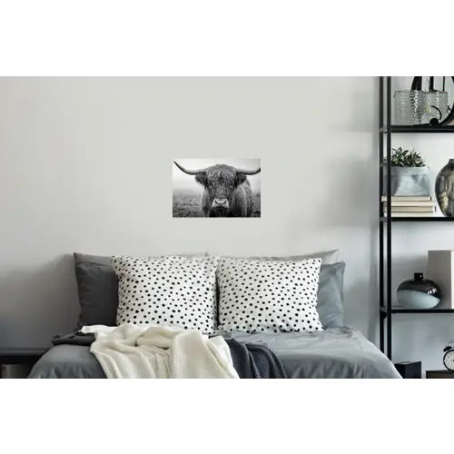 Schotse hooglander - Zwart - Wit - Gras Muursticker klein -slaapkamer