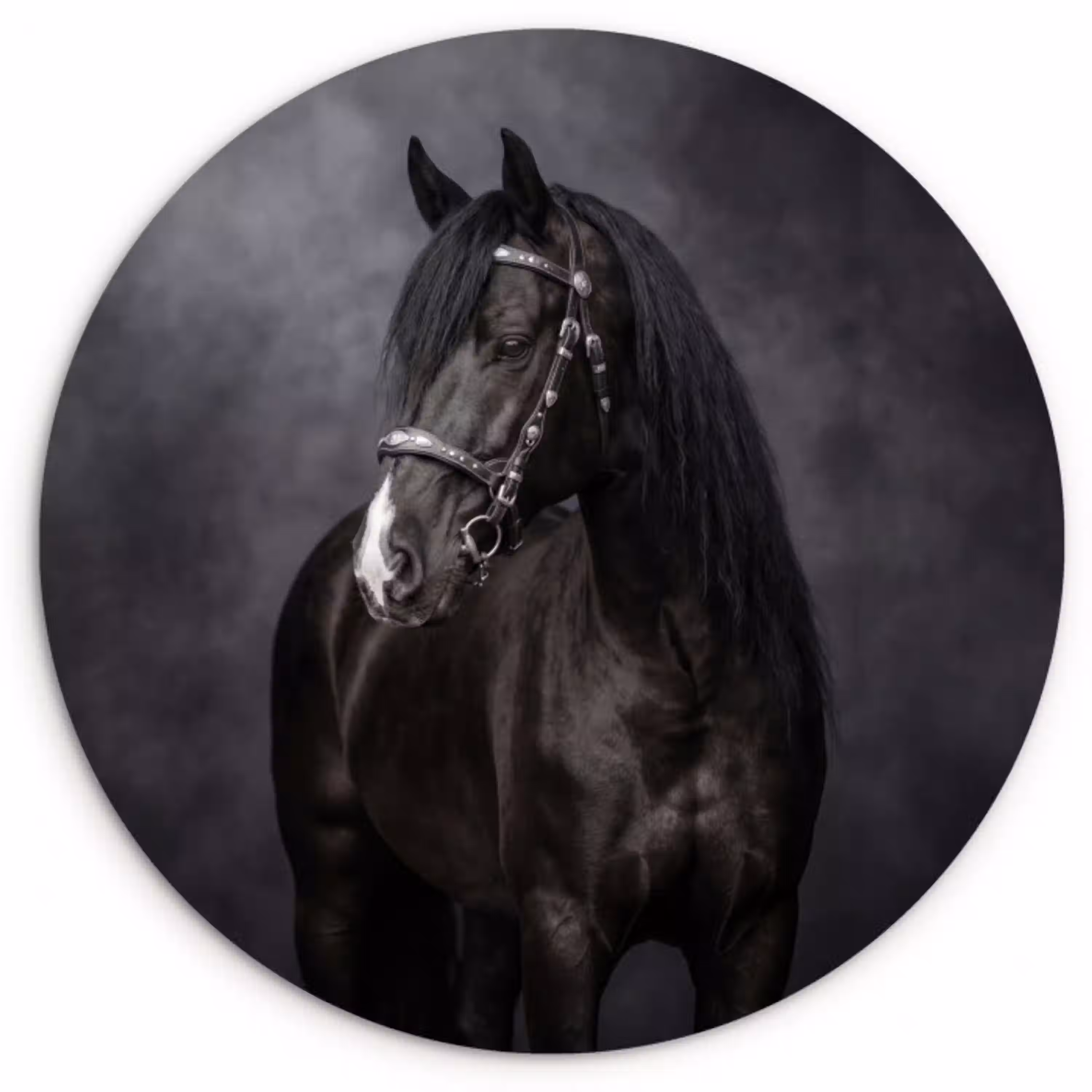 Portret - Paard - Zwart Wandcirkel kunststof plaat 5mm dik klein -3d