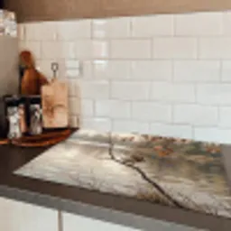 Winterkoninkje - Tak - Rivier - Natuur - Sfeervol Inductie beschermer vinyl 3mm klein -sfeer3