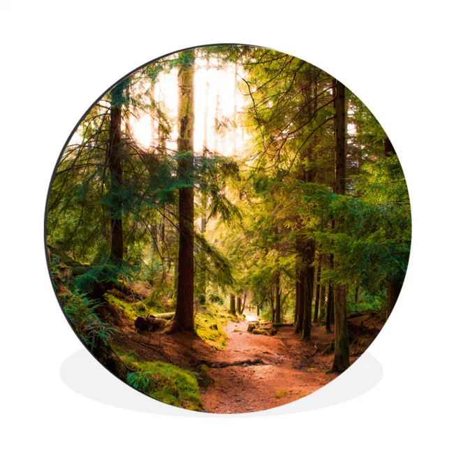 Muurcirkel aluminium Bos - Pad - Bomen - Groen - Zon - Natuur