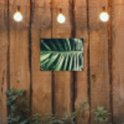 Bladeren - Tropisch - Jungle tuinposter los doek klein -sfeer1