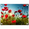 Klaprozen - Toscane - Zon - Rood - Blauw tuinposter los doek klein -3d