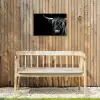 Schotse hooglander - Goud - Vacht - Dieren - Koe Tuinposter op houten frame 2 cm dik klein -sfeer4