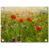 Weide van wilde bloemen en klaprozen tuinposter los doek klein -3d