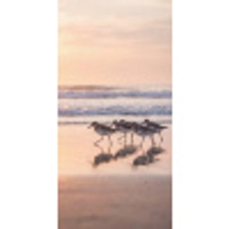 Zee - Vogels - Strand Behang Vlies klein -3d_website