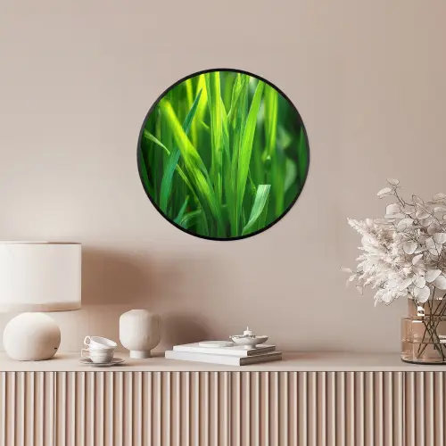 Grassprieten - Lichtinval - Groen Fotolijst rond zonder passe partout klein -sfeer3