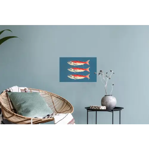 Vissen - Rood - Blauw Muursticker klein -plant
