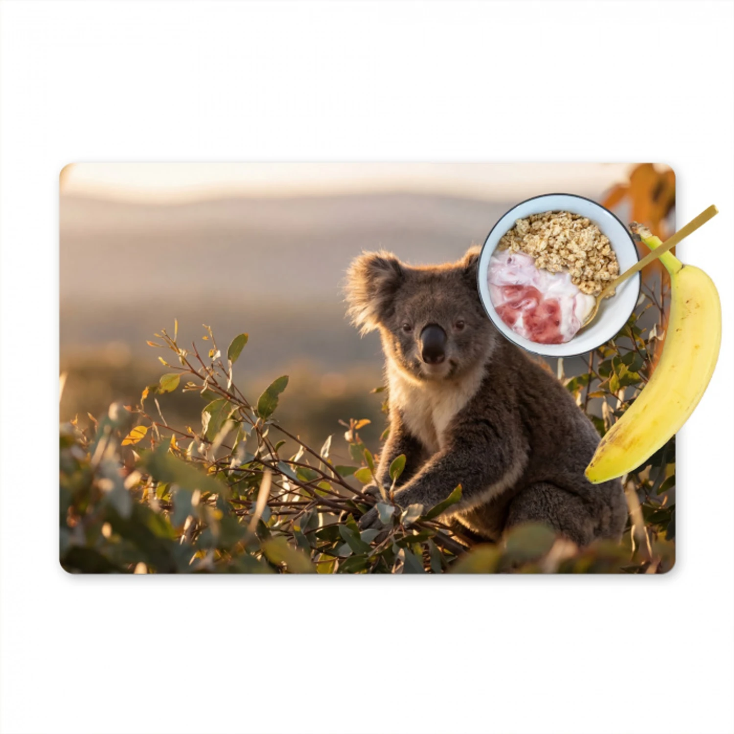 Koala - Bladeren - Ochtendlicht Placemat vinyl groot -zzzproduct_Kitchenyeah-website