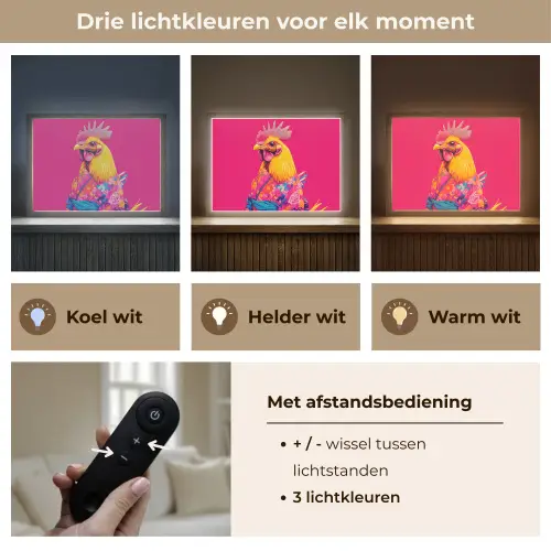 Haan - Kleurrijk - Kimono - Roze Light Box met batterij (Wandlamp) middel -USP_lichtkleurNL