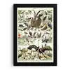 Vogel - Natuur - Dieren - Vintage - Kunstwerk fotolijst zwart zonder passe partout klein -3d