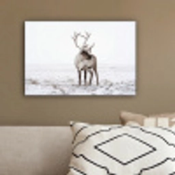 Rendier - Gewei - Sneeuw - Winter canvas 2cm klein -sfeer3