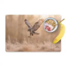 Buizerd - Roofvogel - Natuur - Bruin Placemat vinyl groot -zzzproduct_Kitchenyeah-website