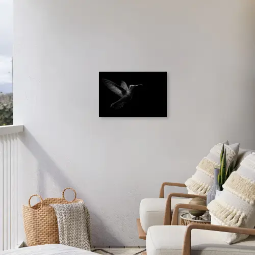Kolibrie - Zwart - Dieren Tuinposter op houten frame 2 cm dik klein -sfeer1