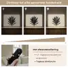 Agaveplant - Symmetrisch - Groen Light Box met batterij (Wandlamp) middel -USP_dimbaarNL