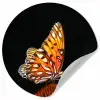 Vlinder - Bloemen - Insect - Portret - Zwart - Oranje Wandcirkel behangsticker klein -3d