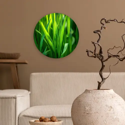 Grassprieten - Lichtinval - Groen Wandcirkel plexiglas klein -sfeer1