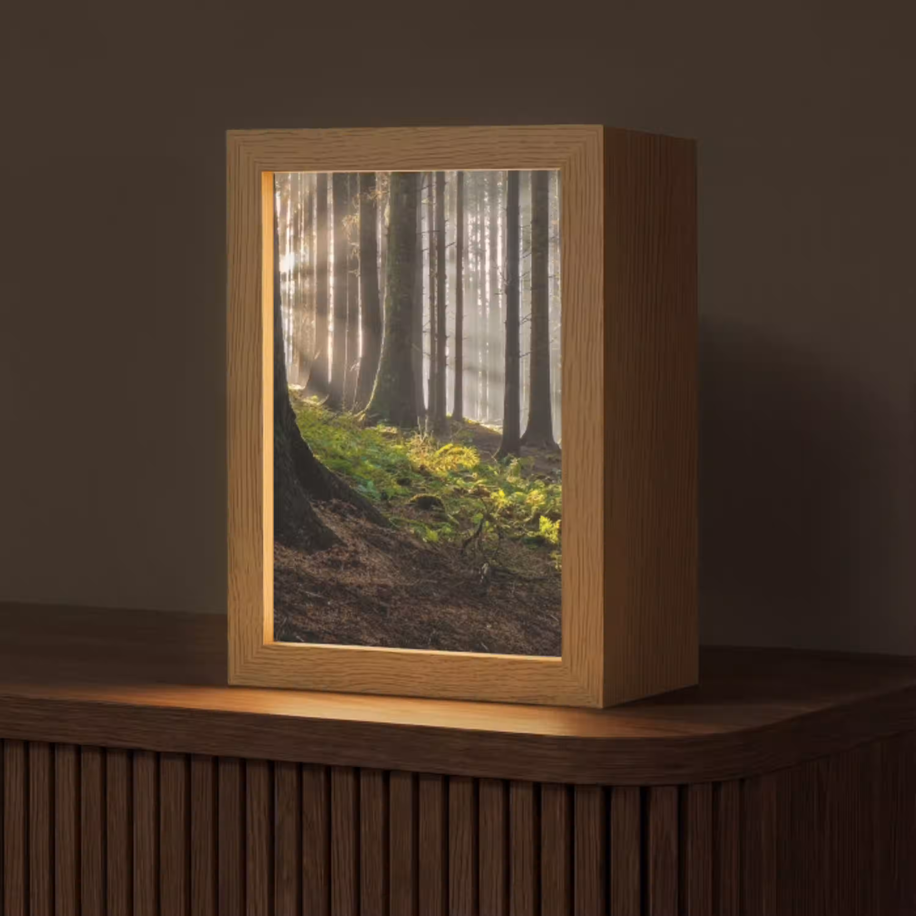 Zon - Takken - Bomen - Bos - Natuur Light Box met kabel (Tafellamp) klein -z3d_website
