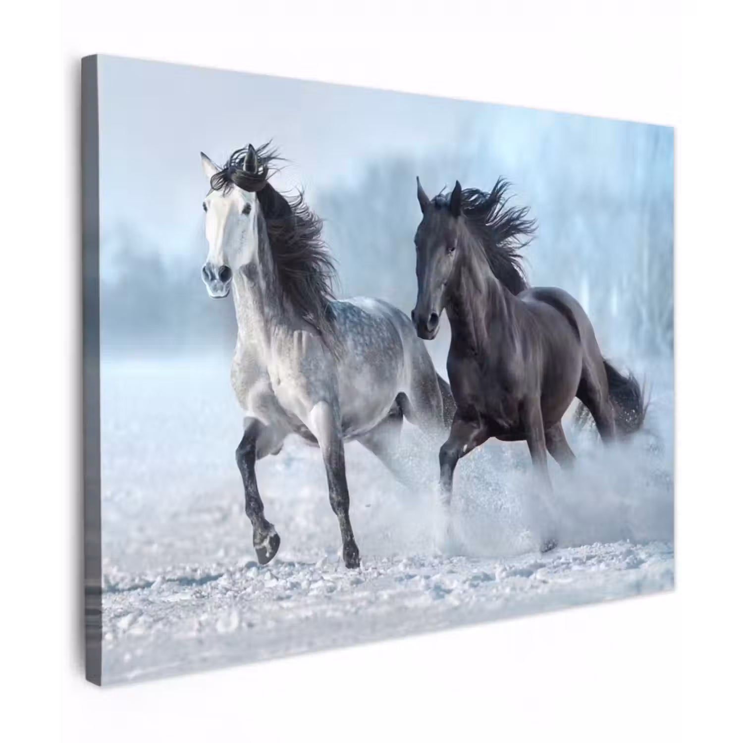 Leinwandbild - Pferde - Winter - Tiere - Natur - Schnee