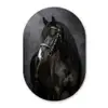 Portret - Paard - Zwart Wandcirkel Ovaal Aluminium middel -3d