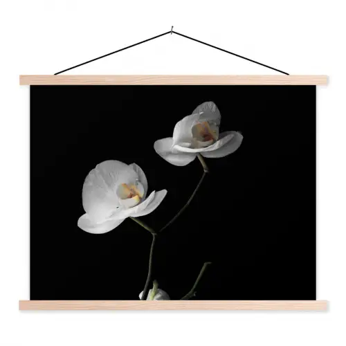 Orchidee - Bloemen - Zwart - Wit - Stilleven textielposter latten blank klein -3d