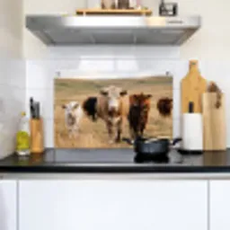 Runderen - Kudde - Landschap - Weide - Rustig Inductie beschemer met haakjes klein -sfeer2