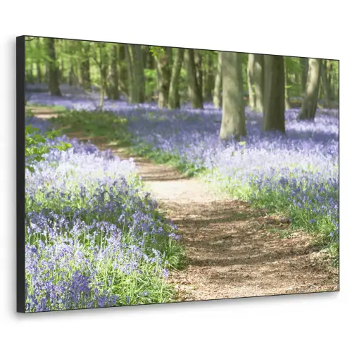 Bos - Pad - Bloemen - Paars - Groen - Natuur Textielframe zwart klein -3d