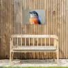 Kleurrijk - Vogeltje - Veren - Blauw Tuinposter op houten frame 2 cm dik klein -sfeer4