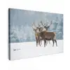 Hert - Dieren - Sneeuw - Winter - Landschap - Natuur canvas 2cm klein -z3d