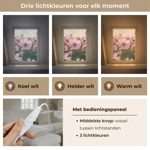 Bloemen - Paars - Wazig Light Box met kabel (Tafellamp) klein -USP_lichtkleurNL