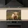 Schotse hooglander - Bergen - Grasveld keuken achterwand spatscherm klein -sfeer1